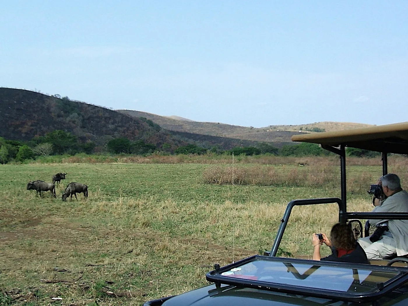 Kapama Game Reserve safari photo en Jeep