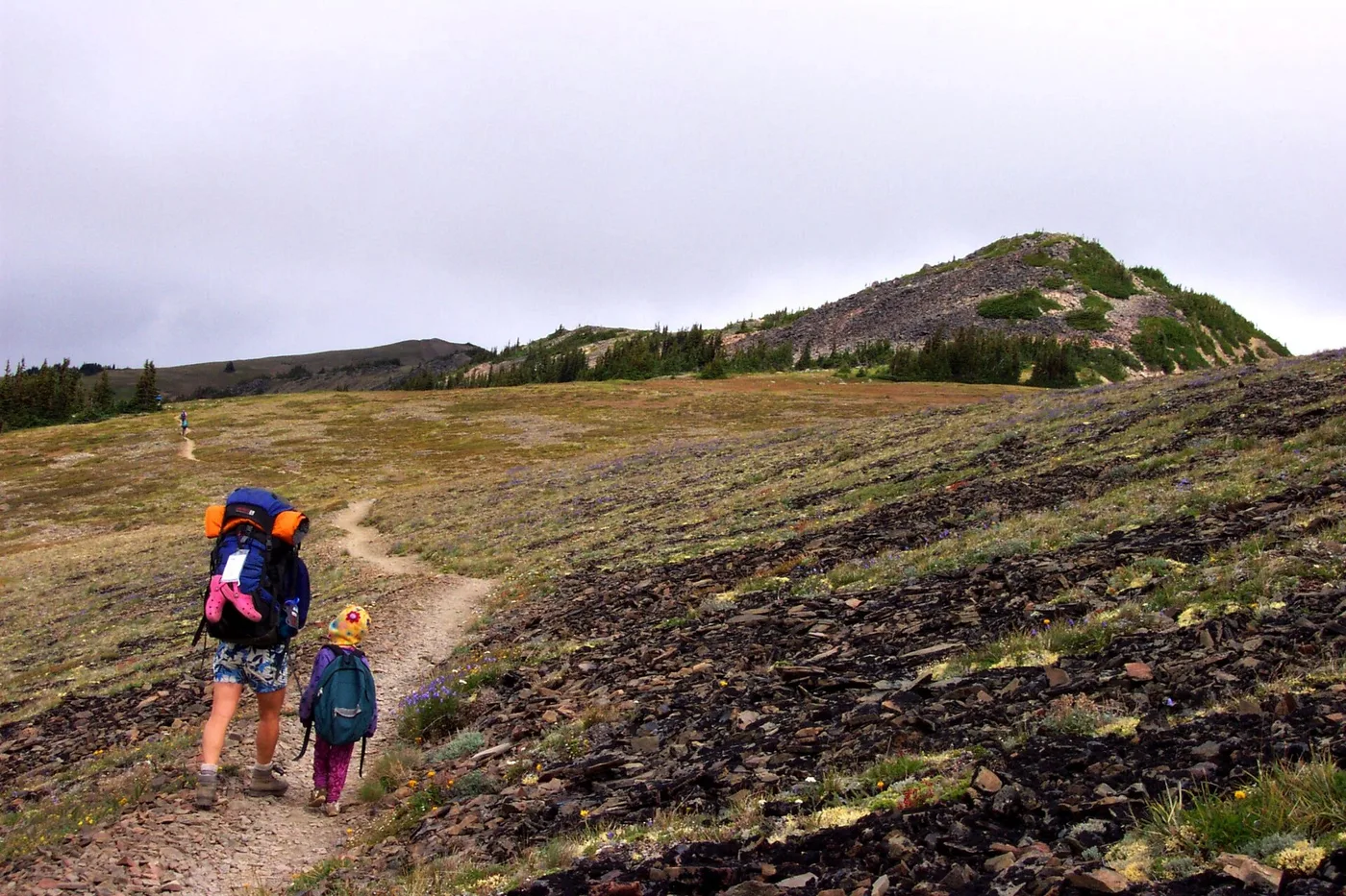 Hiking family trail subalpine backpack BBaccus NPS photo (23061004332)