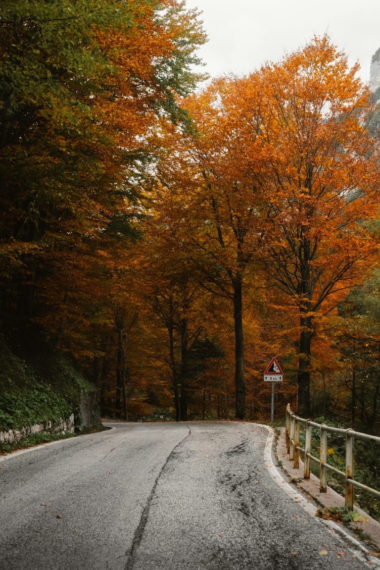 latest travel trends - Travel News: Explore the Latest Trends and Hidden Gems for 2026 Adventures