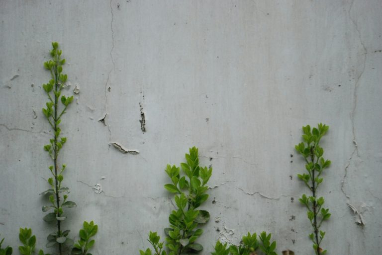 ecotourism sustainable travel - Eco-Tourism: Discovering Sustainable Travel Trends for Harmonious Coexistence with Nature ...