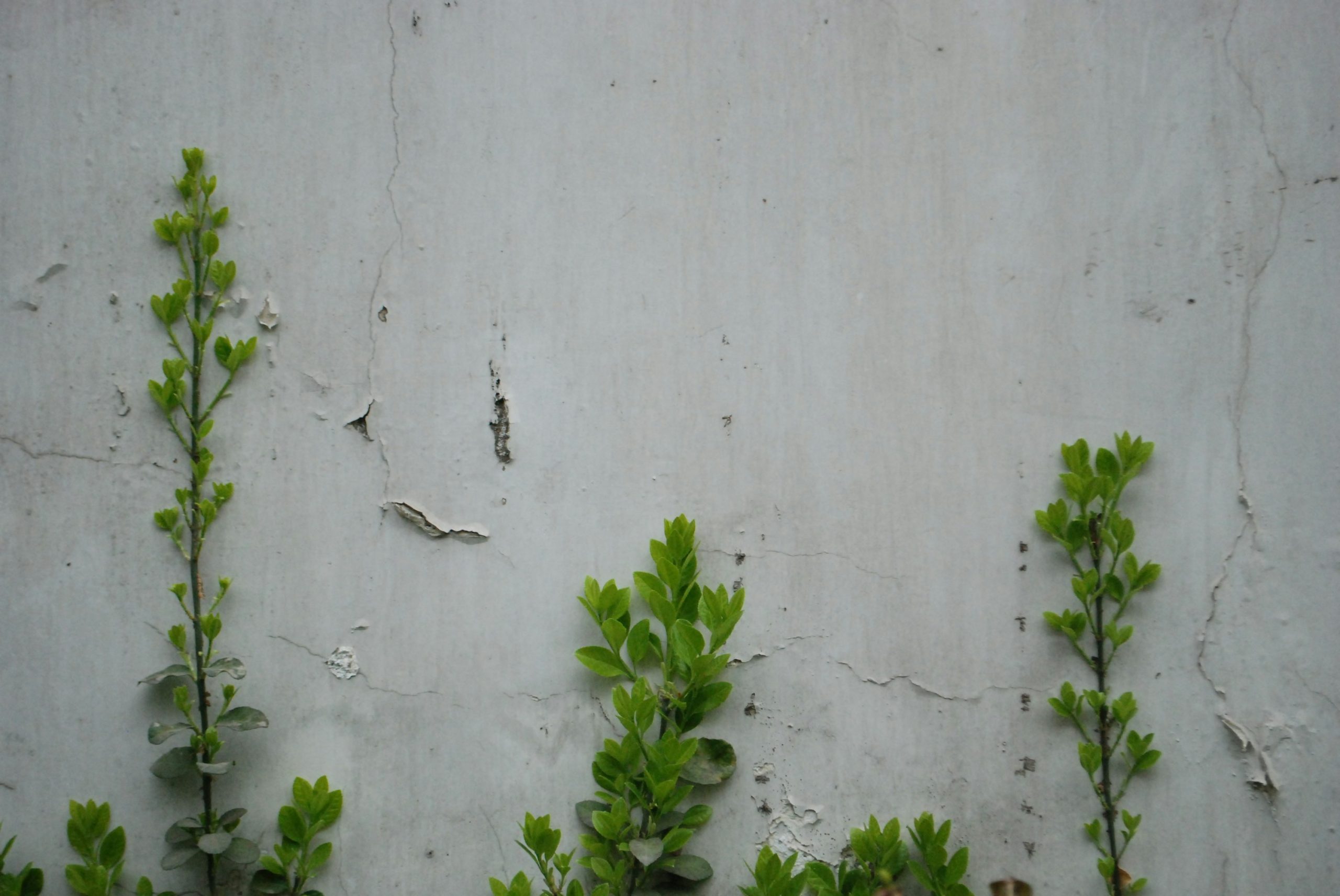 ecotourism sustainable travel - Eco-Tourism: Discovering Sustainable Travel Trends for Harmonious Coexistence with Nature ...