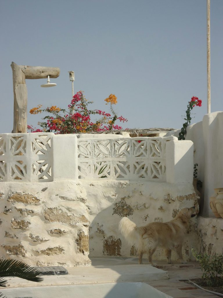 sustainable travel guide - The Ultimate Guide to Sustainable Travel: Eco-Friendly Adventures for 2026