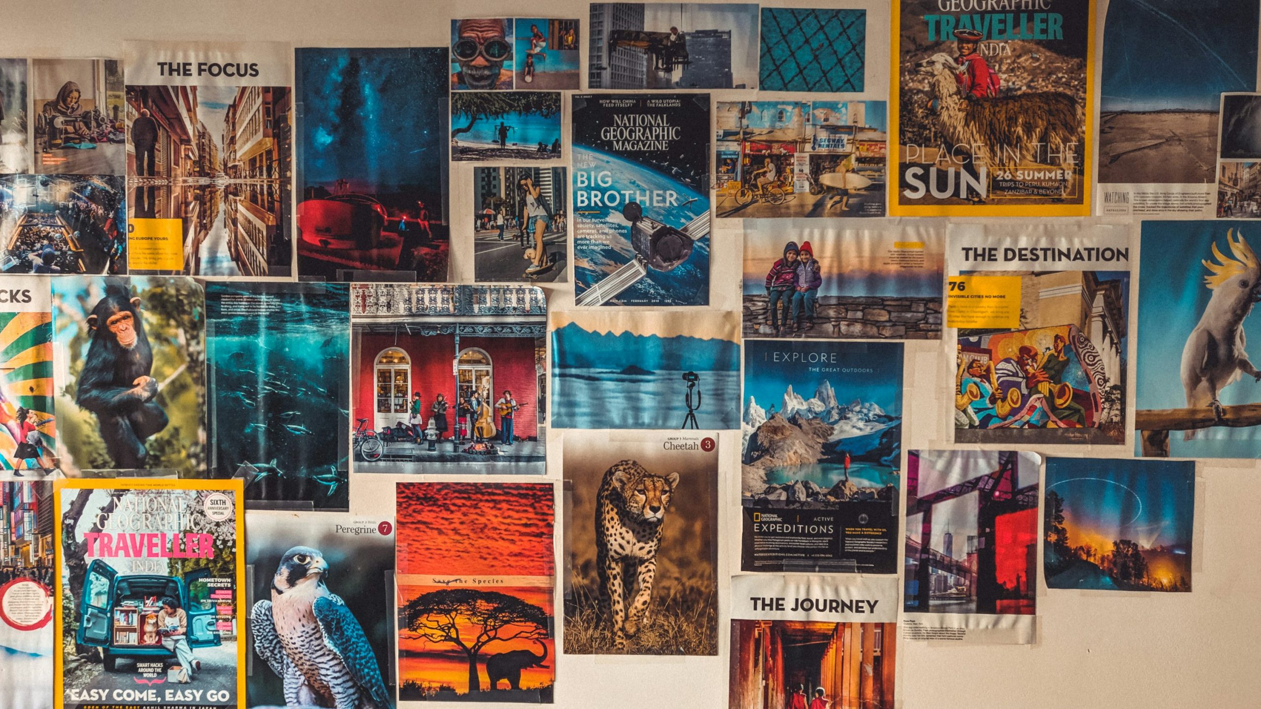 travel - Understanding Travel Regulations and Guidelines